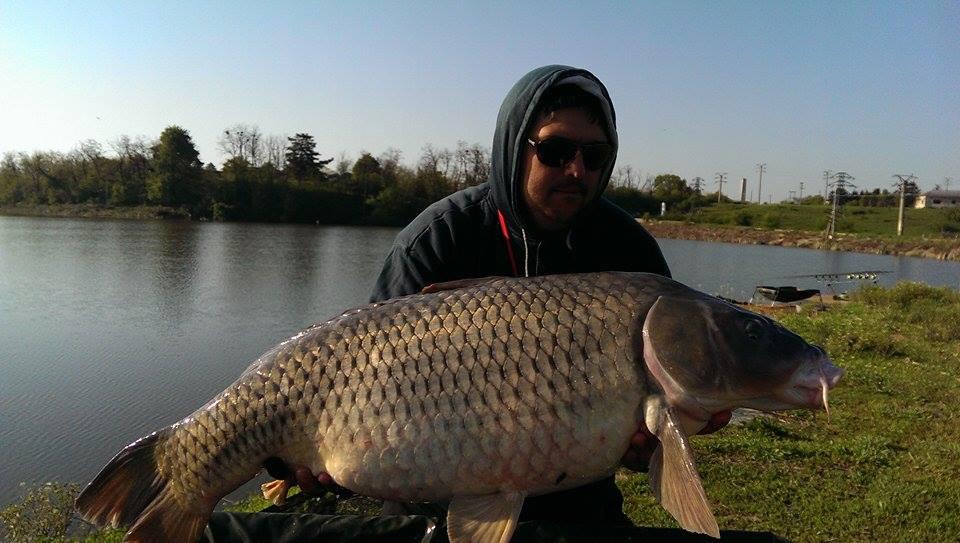 Hermes Peris 25 - 26 aprilie 2015 - 11166090991225774235646504285793n.jpg